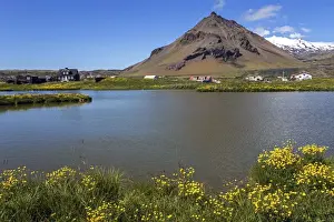 Communities Prints: Arnarstapi municipality, Stapafell mountain and Snaefelljoekull glacier at the back
