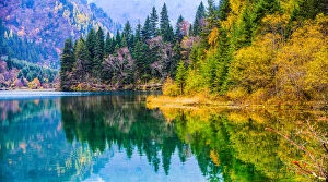 Images Dated 24th October 2012: Arrow Bamboo Lake, Jiuzhai Valley National Park