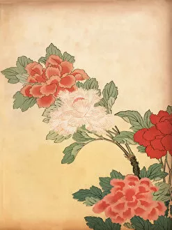 Images Dated 20th December 2018: Art of Japan, Chrysanthemum flowers