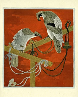 Animal Behavior Gallery: Art of Japan - Embroidered Fukusa