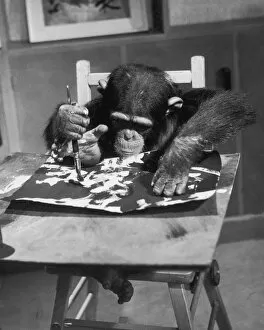 Artist Chimp At Work