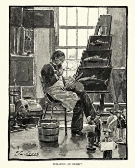 Images Dated 13th July 2017: Artist preparing an exhibit, Smithsonian Institution, 1884