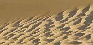 Images Dated 16th August 2010: Artistic sand dune