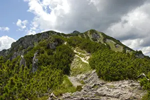 Hiking Trail Prints: Ascent, path to the summit, Mt