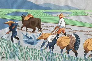Teamwork Prints: Asians Working in Rice Paddy Field