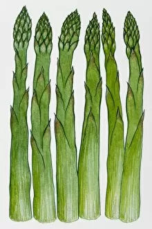 Images Dated 28th March 2007: Asparagus