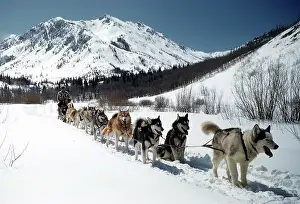 Lac0077 Prints: ASPEN COLORADO