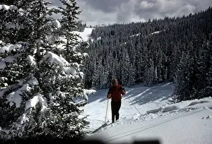 Lac0077 Prints: ASPEN COLORADO