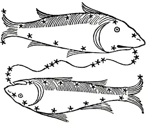 Pisces Prints: The Astrological Sign Of Pisces;The Fish