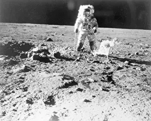 Astronaut Walking on Moon During Apollo 12 Mission