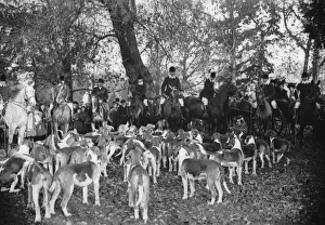 Images Dated 11th November 2014: Atherstone Meet