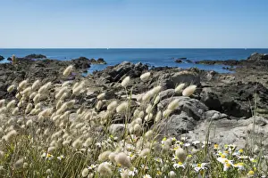 Atlantic Ocean, Le Croisic, West France, France, Loire Atlantique, Sea, Nature, Rocks