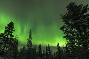 Northern Lights Collection: atmospheric, calmness, color image, copy space, forest, green, Harjedalen, horizontal