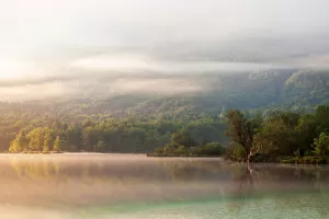 Images Dated 19th August 2011: Atmospheric Lake Bohinj