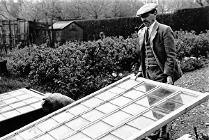 Prints of English Labour statesman Clement Richard Attlee (1883 - 1967) 1st Earl Attlee, at work in his garden at home. Original Publication: Picture Post - 284 - Labour Leader At Home - pub A Quiet Strength: A Leader Who Shaped Modern Britain: Attlee In Garden