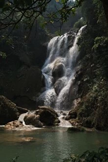 Images Dated 6th March 2012: attraction, big, force of nature, jungle, luang prabang province, rain forest, tourist attractions