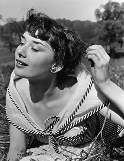 Belgian Prints: Audrey Hepburn