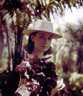 Prints of Actress Audrey Hepburn with a white hat holding flowers while walking in the forest at Congo, in 1958. (Photo by Leo Fuchs/Getty Images) Elegance Personified – A Classic Art Print Collection: Audrey Hepburn With Flowers
