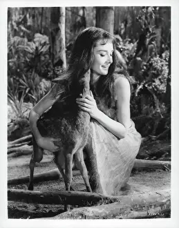 Lac0012 Prints: Audrey Hepburn In The Green Mansions