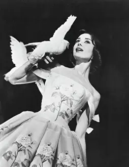 Pigeon Prints: Audrey Hepburn Holding a Pigeon in Funny Face