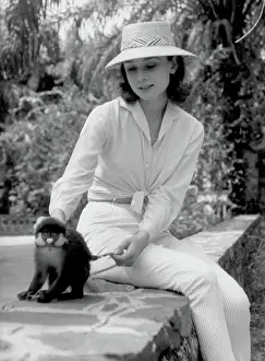 Prints of Actress Audrey Hepburn with a monkey while at the set of 'The Nun's Story' at Congo, in 1958. (Photo by Leo Fuchs/Getty Images) Elegance Personified – A Classic Art Print Collection: Audrey Hepburn With Monkey
