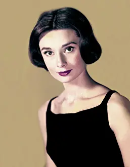 Prints of British actress Audrey Hepburn (1929 - 1993) poses for a portrait wearing a black dress in New York, New York, November 2, 1958. (Photo by TPLP/Getty Images) Elegance Personified – A Classic Art Print Collection: Audrey Hepburn Portrait