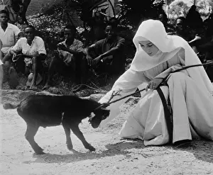 Goat Prints: Audrey Hepburn Pulling on a Goat's Leash