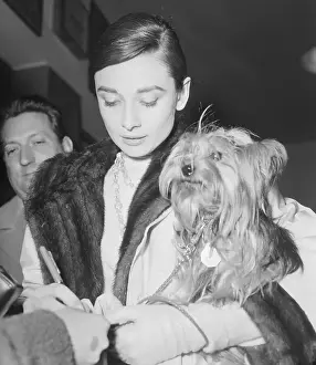 Autographing Prints: Audrey Hepburn Signing Autograph Holding Her Dog