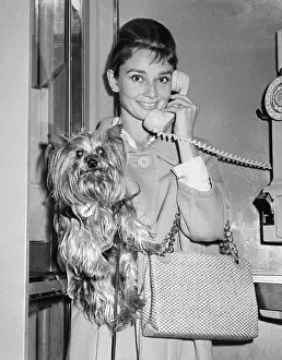 Telephoning Prints: Audrey Hepburn Talking on the Phone