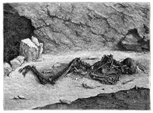 Aurignacian Skeleton The Fossil Man of Menton'at Balzi Rossi Caves, Liguria, Italy - 43, 000 to 37, 000 Years Ago