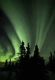 Aurora Borealis Collection: Aurora borealis, Fairbanks, Alaska