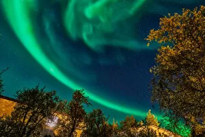 Treetop Gallery: Aurora Borealis, Iceland