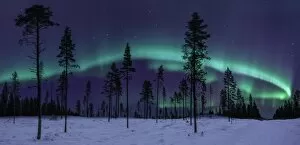 Images Dated 12th November 2012: The Aurora & the Great Bear