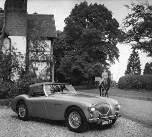 Wealth Prints: Austin Healey