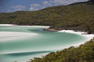 australia, beach, beauty in nature, coastline, color image, day, elevated view, flora
