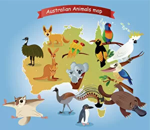 Images Dated 1st March 2018: Australian Animals Map