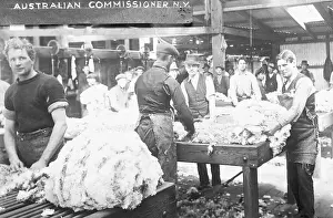 Raw Material Prints: Australians Sorting Wool