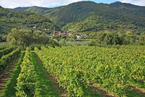 Austria, Wachau, Schwallenbach