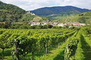 Austria, Wachau, Spitz an der Donau