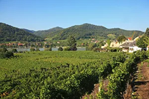 Images Dated 28th September 2013: Austria, Wachau Valley, DAOErnstein