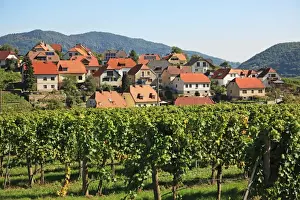 Austria, Wachau Valley, Weissenkirche