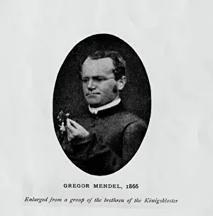 Austrian Botanist Gregor Mendel