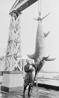 Author Zane Grey Posing Beside His Huge Fish Catch
