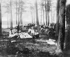 Picnic Prints: Auto Outing; Picnic