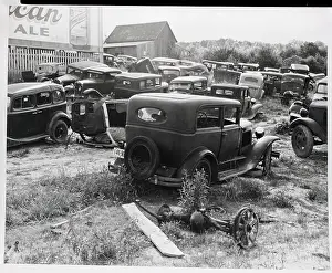 Maryland Prints: Automobile Graveyard