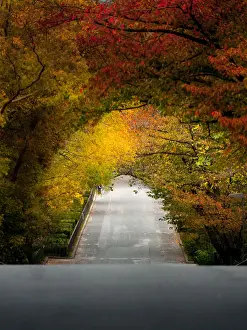 Osaka Prefecture Prints: Autumn ambience corridor