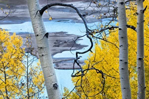 Images Dated 3rd October 2015: Autumn aspen trees and turquoise waters of Silver Jack Reservoir, Uncompahgre National Forest