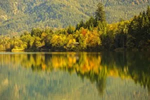 Images Dated 6th October 2012: Autumn at Barmsee in Kruen, Upper Bavaria, Bavaria, Germany