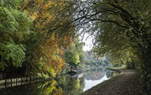 Images Dated 31st October 2016: Autumn on the canal