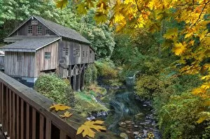 Washington Collection: Autumn at Cedar Creek Grist Mill